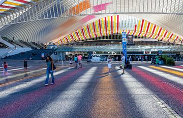Luik Guillemins station ingang van Werner Lerooy