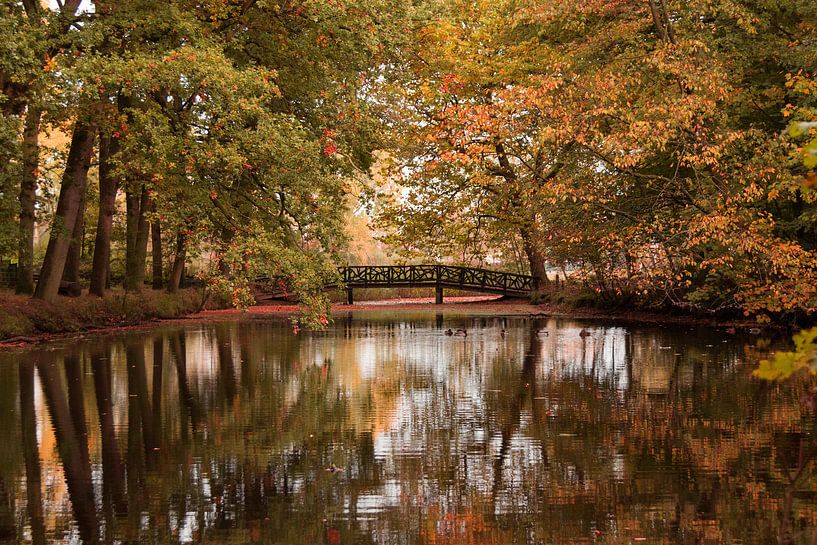 de herfst op zijn mooist van Jeannet Bijlsma