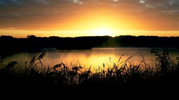 De Gavers in de ochtendzon