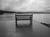 View of Loch Lomond in lonely grey weather by Mark van Hattem thumbnail