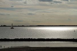 Avondzon op het water by Abra van Vossen