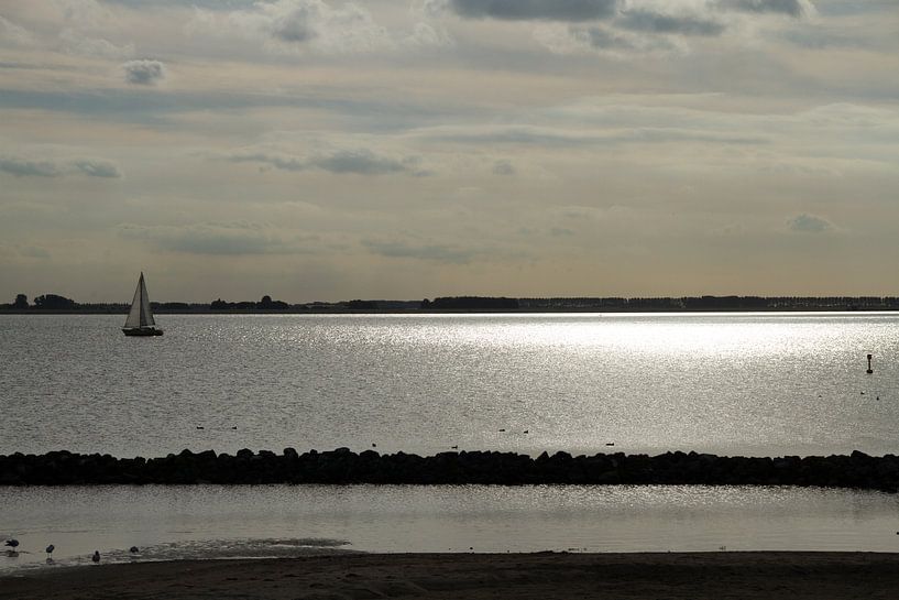 Avondzon op het water by Abra van Vossen