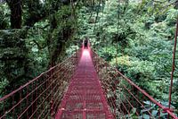 Monteverde Bridge