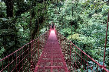Monteverde Bridge by Aad Clemens
