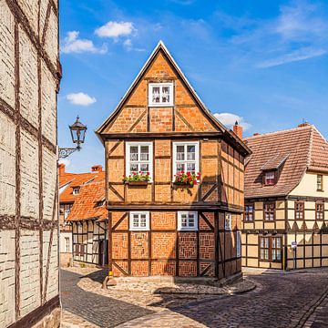 Vakwerkhuizen in de oude stad Quedlinburg van Werner Dieterich