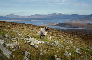 Vue de l'île d'Achill, Irlande