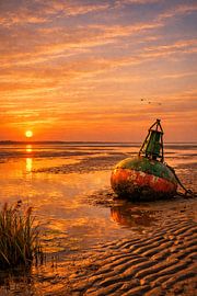 Boei op het strand van Digital Picture Art