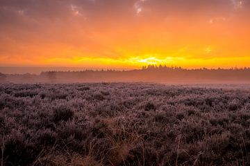 Sunset van Olaf Kerkhof