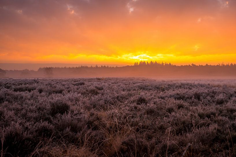 Sunset van Olaf Kerkhof