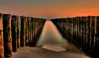 Het pad naar de horizon Groynes aan de Noordzee van Friedhelm Peters thumbnail
