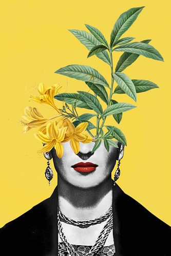 Frida, Complicated Simplified by Marja van den Hurk