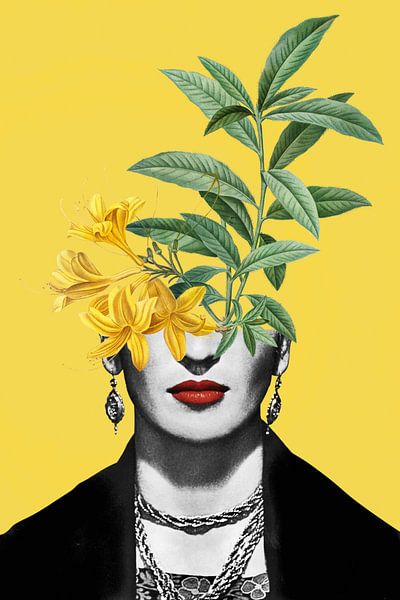 Frida, Complicated Simplified par Marja van den Hurk