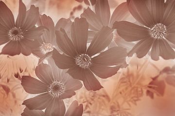 Herfstbloemen Aardetinten van Imladris Images