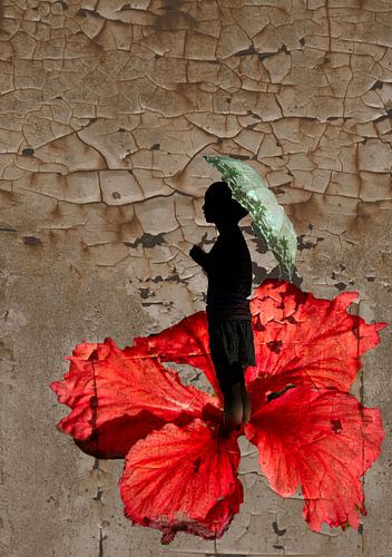 hibiscus puella sur Leanne lovink