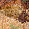 Sandstein Formationen im Tsingy Rouge Park auf Madagaskar von Reiner Conrad