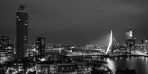 Rotterdam Skyline (zwart-wit)