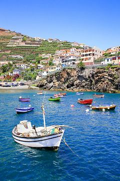 Landschap bij kust van het eiland Madeira in Portugal met kleine vissersboten en dorp van Ben Schonewille