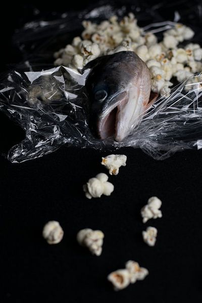 Gehackter Fisch | Teil 2 von Lidia Vedder