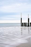 Aan het strand | Zeeleven | Minimalistische fotografie