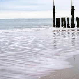 Am Strand | Meeresleben | Minimalistische Fotografie von Noraly Verriet
