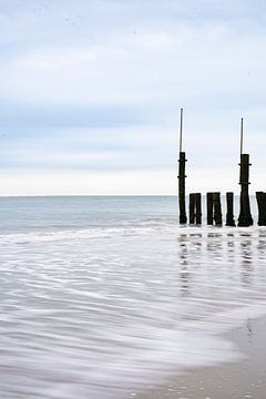 Aan het strand | Zeeleven | Minimalistische fotografie van Noraly Verriet