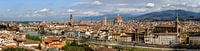Uitzicht over Florence van Dirk Rüter thumbnail