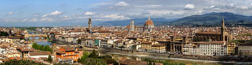 Blick über Florenz