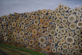 Tree trunks