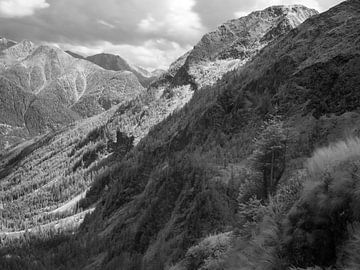 Vallei in het Reuzengebergte in Tsjechië, infrarood zwart-wit opname van Mark van Hattem