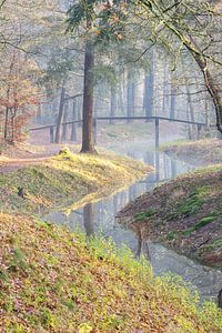 Magische ochtend op landgoed Heidestein! van Peter Haastrecht, van