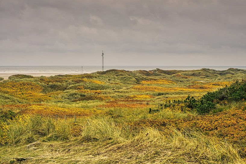 Blåvand duinlandschap in Denemarken aan de Noordzee van Martin Köbsch