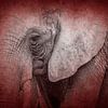 Rode Stilte Olifant in een Mystieke Compositie van Femke Ketelaar