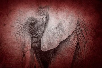 Rode Stilte Olifant in een Mystieke Compositie van Femke Ketelaar