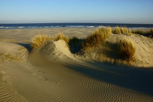 Strand en Duinen