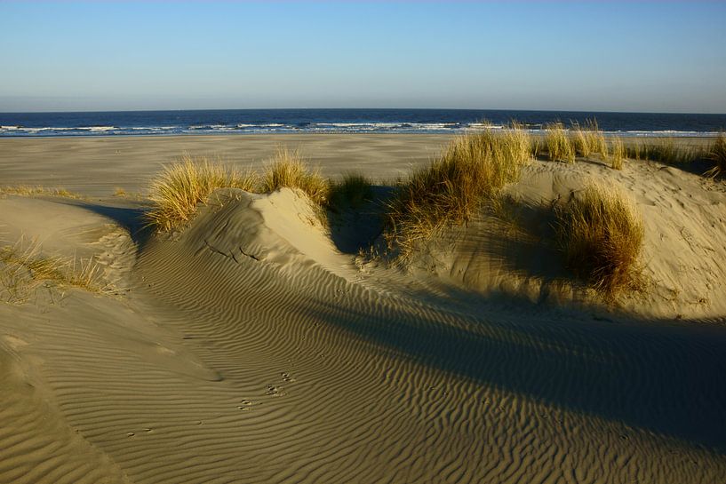 Strand en Duinen von Michel van Kooten