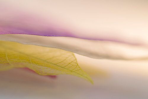 Layers (Abstracte foto van gekleurde lagen)