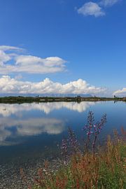 Impressies van de bergmeer van Nina Rotim