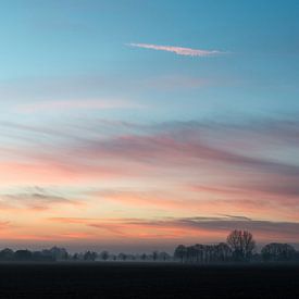 Misty morning sur Robert de Jong