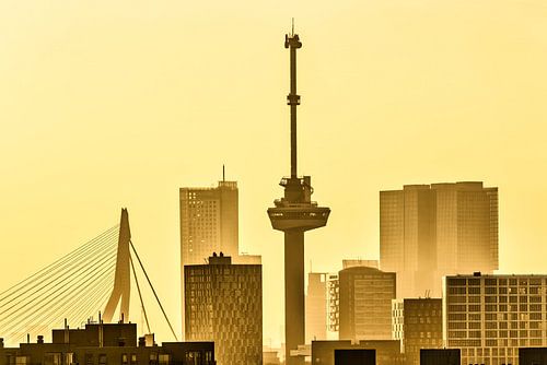 Niederlande, Rotterdam, Skyline mit Euromast und Erasmusbrücke. von Frans Lemmens