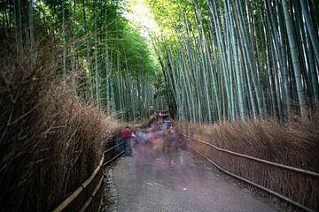 bamboo forest kyoto by Stefan Havadi-Nagy