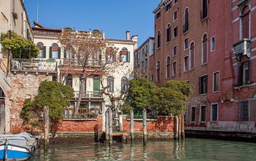Tuin aan kanaal  in oude centrum van Venetie, Italie