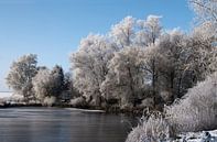 Givre blanc sur les arbres au bord d'un lac gelé, beau paysage rural d'hiver sous un ciel bleu avec  par Maren Winter Aperçu