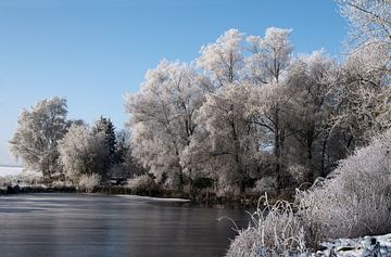 Witte rijp aan de bomen aan de oever van een bevroren meer, prachtig landelijk winterlandschap onder van Maren Winter
