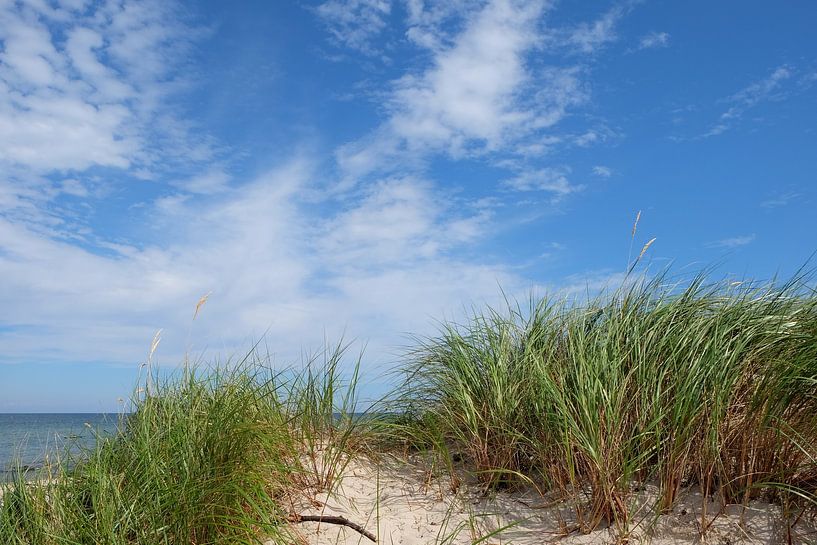 Dunes by Ostsee Bilder