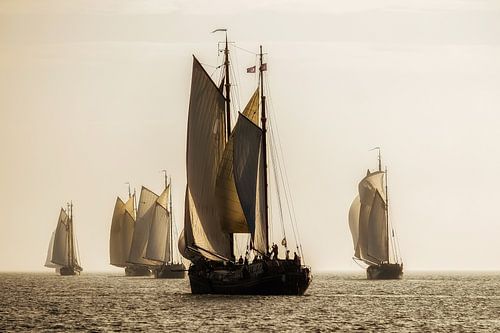 Klippenrennen auf dem IJsselmeer