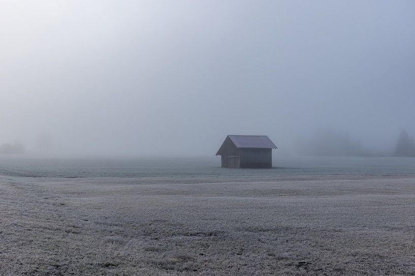 Mist in een veld van Teresa Bauer