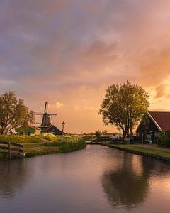 Zaanse Schans Käsefarm