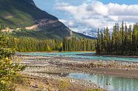 Athabasca River in Jasper National Park, Rocky Mountains, Alberta, Canada.