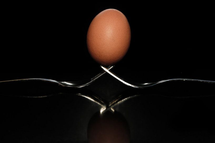 EI von Suzanne van Stiphout