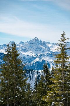 Winterlicher Blick auf den Hochvogel und die Allgäuer Alpen von Leo Schindzielorz